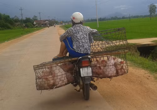 Chụp tại tỉnh lộ 636. Ảnh: Nguyen Sinh.