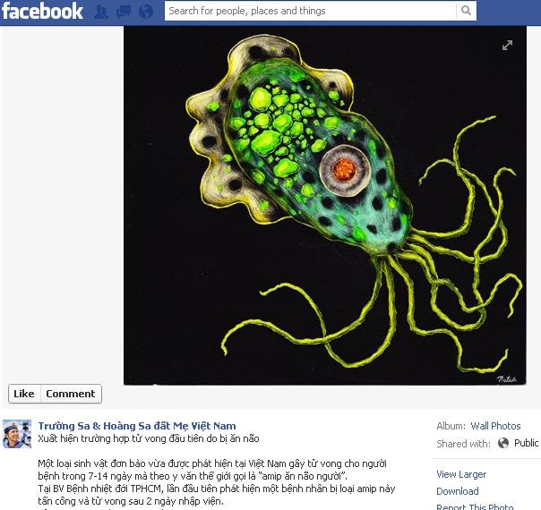 Cư dân facebook xôn xao loại amip ăn não người dẫn đến tử vong. Xem thêm ở đây <<<