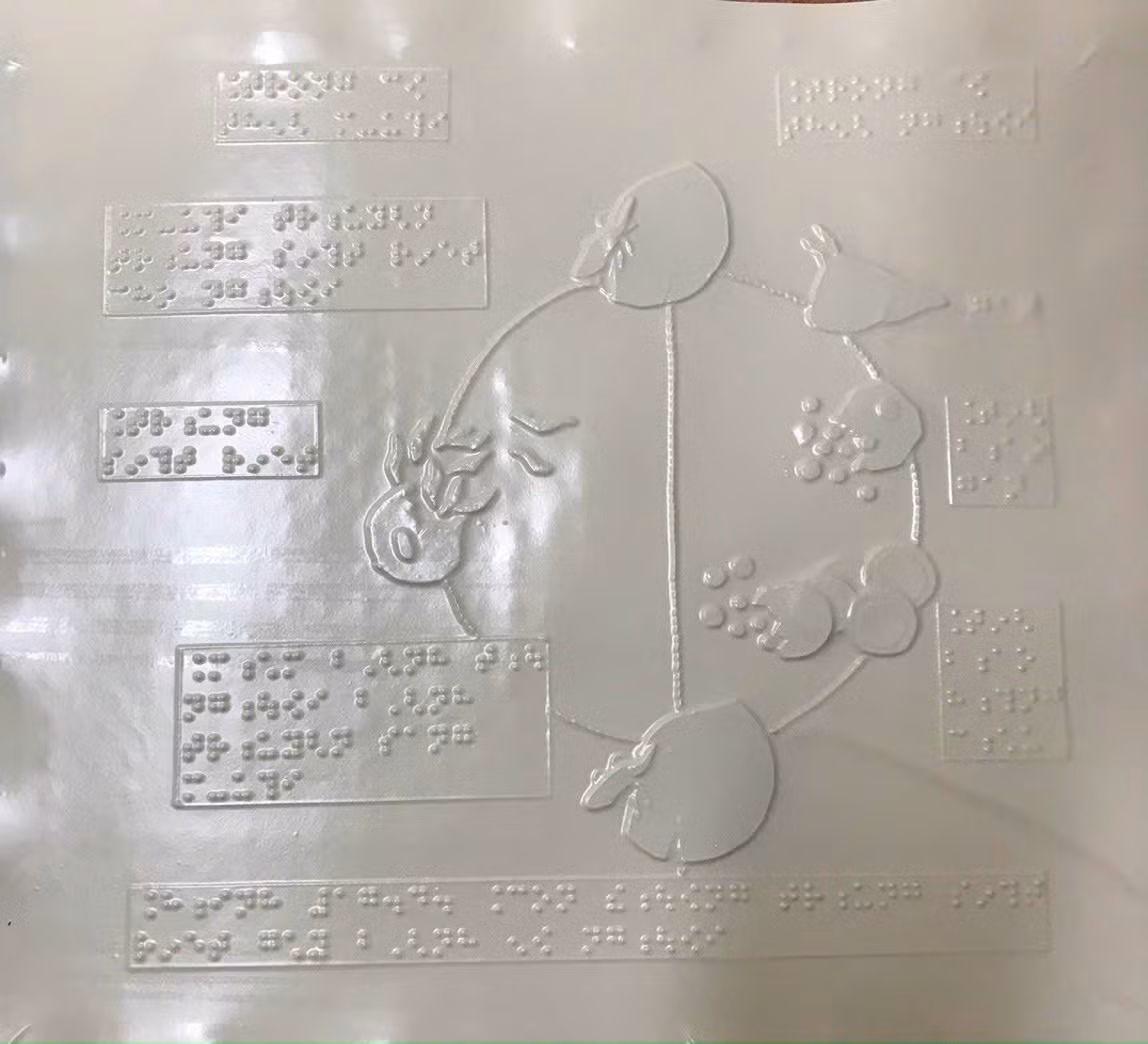 z6008360243383_e00f3125dc7b1362920d5f71a49083b1.jpg