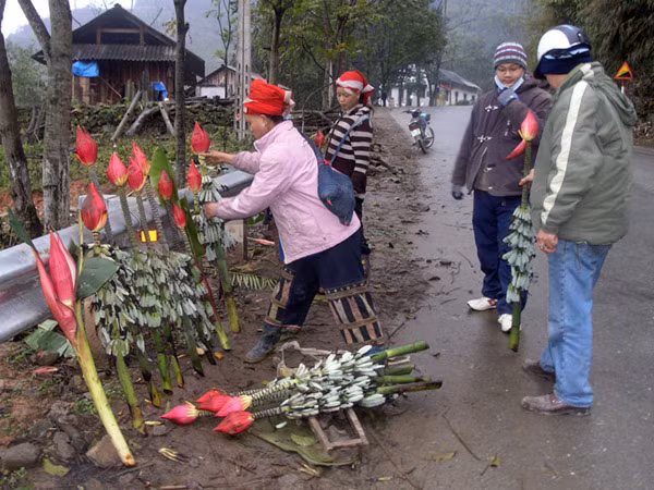 Điểm bán hoa chuối rừng Tòng Sành. Điểm bán hoa chuối rừng Tòng Sành.