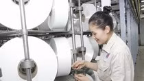PVTEX: Niềm tin và sức sống đang trở lại ảnh 3