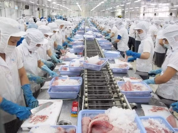 Nỗ lực của Bộ Công Thương đã giúp thủy sản Việt Nam tiếp cận thị trường Úc - ảnh nguồn Hiệp hội Chế biến và Xuất khẩu Thủy sản Việt Nam (VASEP) Nỗ lực của Bộ Công Thương đã giúp thủy sản Việt Nam tiếp cận thị trường Úc - ảnh nguồn Hiệp hội Chế biến và Xuất khẩu Thủy sản Việt Nam (VASEP)