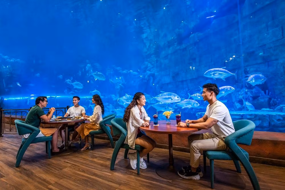 Nhà hàng Deepsea bên cạnh bể cá mập khổng lồ tại VinWonders Phú Quốc. Nhà hàng Deepsea bên cạnh bể cá mập khổng lồ tại VinWonders Phú Quốc.