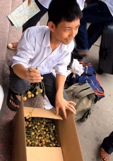 Thí sinh Nguyễn Văn Châu quê huyện Đoan Hùng – Phú Thọ tranh thủ mang cả hộp quất vòng từ nhà xuống Hà Nội dự thi. Châu bảo mang xuống, ở cùng bạn nào thì cả phòng cùng ăn cho vui. Xem đáp án môn Vật lí - Xem đáp án môn Toán - Xem đáp án môn Hóa - Xem đáp án môn Ngoại ngữ Khối A1