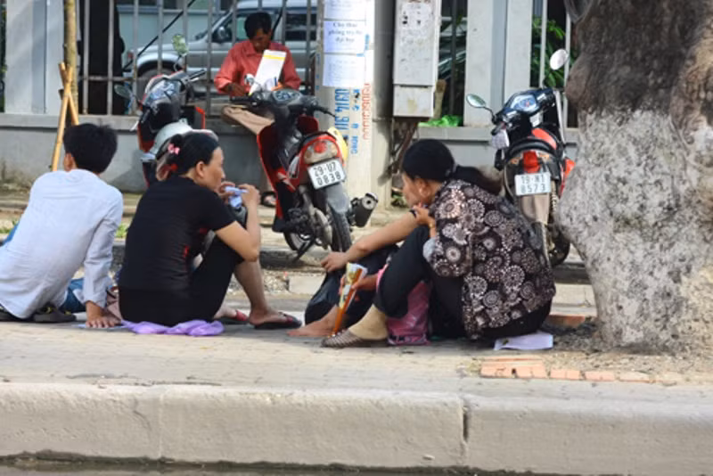 Núp dưới bóng cây mối khi trời nắng to