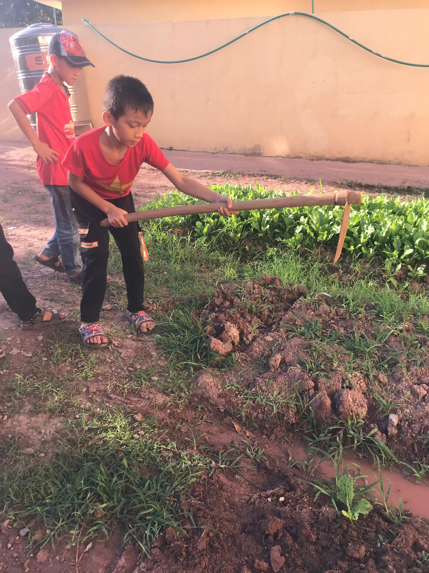 Học sinh trường Nậm Nhừ chăm sóc vườn rau sau giờ học. Ảnh: NTCC