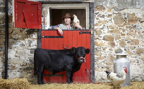 Con bò có thân hình ngắn nhất Archie, 16 tháng tuổi Dexter Bull, tại khu chăn nuôi ở Bắc Ireland. Con bò có thân hình ngắn nhất Archie, 16 tháng tuổi Dexter Bull, tại khu chăn nuôi ở Bắc Ireland.