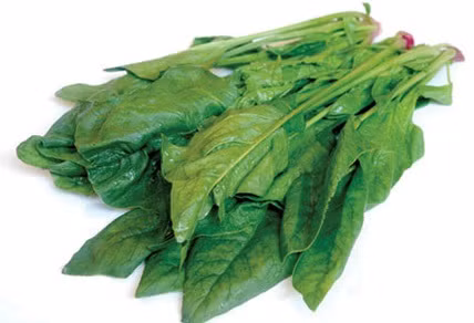 Rau cải bó xôi chứa hơn 35 loại vitamin và dưỡng chất thiết yếu.