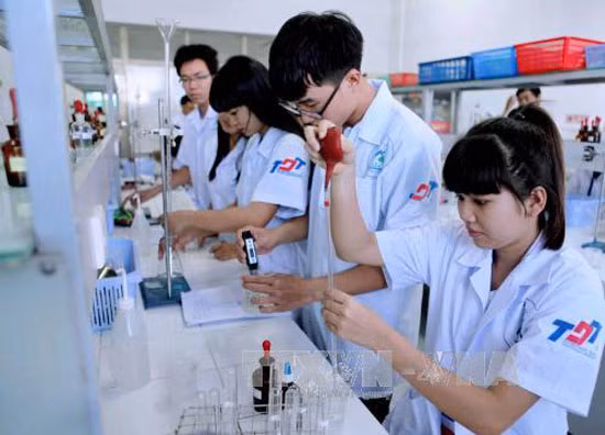 Giáo dục đại học và quá trình tư nhân hoá trên thế giới ảnh 4