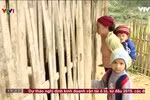 Ban đại diện cha mẹ học sinh đang đại diện cho ai trong nhà trường? ảnh 3