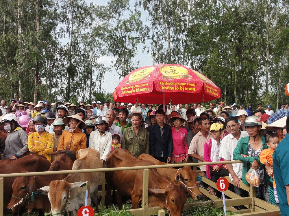 Nhãn hàng Trà thanh nhiệt Dr Thanh hơn 5 năm đồng hành cùng chương trình Lục lạc vàng.