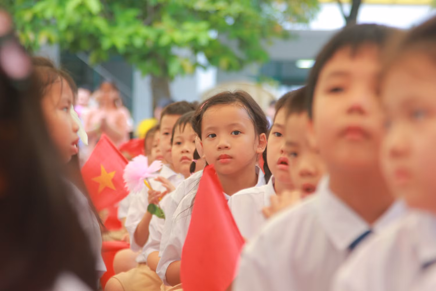 Những ánh mắt thơ ngây của các bé học sinh lớp 1. Những ánh mắt thơ ngây của các bé học sinh lớp 1.