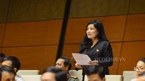 Đã đến lúc bỏ hoàn toàn bao cấp cho đại học ảnh 2