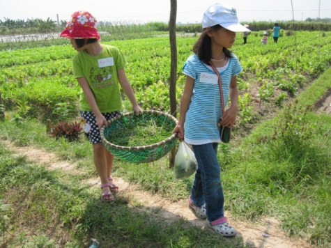 Chùm ảnh: Tìm giải pháp cải thiện khả năng học hỏi của trẻ Chùm ảnh: Chủ tịch nước trồng cây lưu niệm tại Trường ĐH KHXH & NV Chùm ảnh: Học sinh Hà Nội co ro trong cái lạnh đầu mùa Chùm ảnh: Tìm giải pháp cải thiện khả năng học hỏi của trẻ Chùm ảnh: Chủ tịch nước trồng cây lưu niệm tại Trường ĐH KHXH & NV Chùm ảnh: Học sinh Hà Nội co ro trong cái lạnh đầu mùa