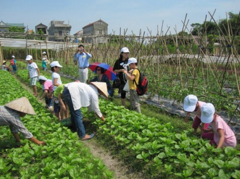 Các em tham quan và tham gia hoạt động trồng rau hữu cơ, nhổ cỏ, cùng làm thuốc trừ sâu bằng gừng, rượu, tìm hiểu quy trình ủ phân hữu cơ, đặt các câu hỏi cho các bác nông dân ... Chùm ảnh: Tìm giải pháp cải thiện khả năng học hỏi của trẻ Chùm ảnh: Chủ tịch nước trồng cây lưu niệm tại Trường ĐH KHXH & NV Chùm ảnh: Học sinh Hà Nội co ro trong cái lạnh đầu mùa Các em tham quan và tham gia hoạt động trồng rau hữu cơ, nhổ cỏ, cùng làm thuốc trừ sâu bằng gừng, rượu, tìm hiểu quy trình ủ phân hữu cơ, đặt các câu hỏi cho các bác nông dân ... Chùm ảnh: Tìm giải pháp cải thiện khả năng học hỏi của trẻ Chùm ảnh: Chủ tịch nước trồng cây lưu niệm tại Trường ĐH KHXH & NV Chùm ảnh: Học sinh Hà Nội co ro trong cái lạnh đầu mùa