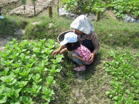 Hai bác cháu cùng nhặt cỏ. Chùm ảnh: Tìm giải pháp cải thiện khả năng học hỏi của trẻ Chùm ảnh: Chủ tịch nước trồng cây lưu niệm tại Trường ĐH KHXH & NV Chùm ảnh: Học sinh Hà Nội co ro trong cái lạnh đầu mùa Hai bác cháu cùng nhặt cỏ. Chùm ảnh: Tìm giải pháp cải thiện khả năng học hỏi của trẻ Chùm ảnh: Chủ tịch nước trồng cây lưu niệm tại Trường ĐH KHXH & NV Chùm ảnh: Học sinh Hà Nội co ro trong cái lạnh đầu mùa