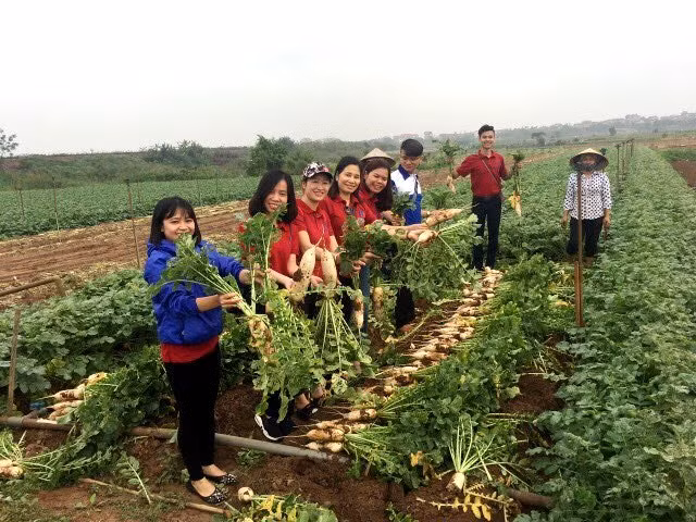 Nỗi gian truân của người nông dân và trách nhiệm của các Bộ trưởng ảnh 4 Nỗi gian truân của người nông dân và trách nhiệm của các Bộ trưởng ảnh 4