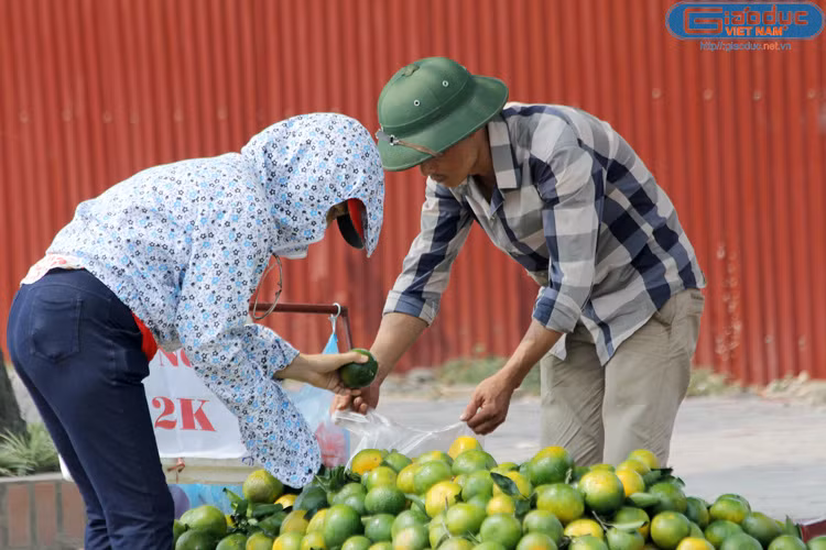 Nhiều người tiêu dùng, dù biết hoa quả Trung Quốc nhiễm độc nhưng vẫn mua và cho rằng, ‘có thuốc thì cũng chỉ ở ngoài vỏ, chả sao”. (?)