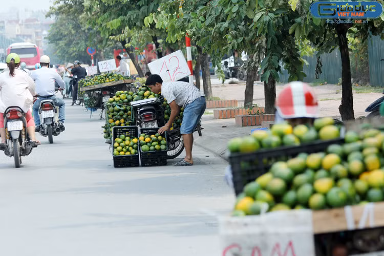 Sáng nào cũng lấy hoa quả tại chợ đầu mối Long Biên về bán, một người bán cam cho biết trên infonet: cam Trung Quốc được đóng theo thùng giấy hoặc tre. Giá bán tại chợ đầu mối khoảng 100.000 đồng/thùng 17-18 kg. Tính ra, mỗi kg chỉ khoảng 6.000 đồng. Loại héo, vàng, mua tại chợ đầu mối, có khi giá chỉ khoảng 3.000-4.000 đồng/kg.