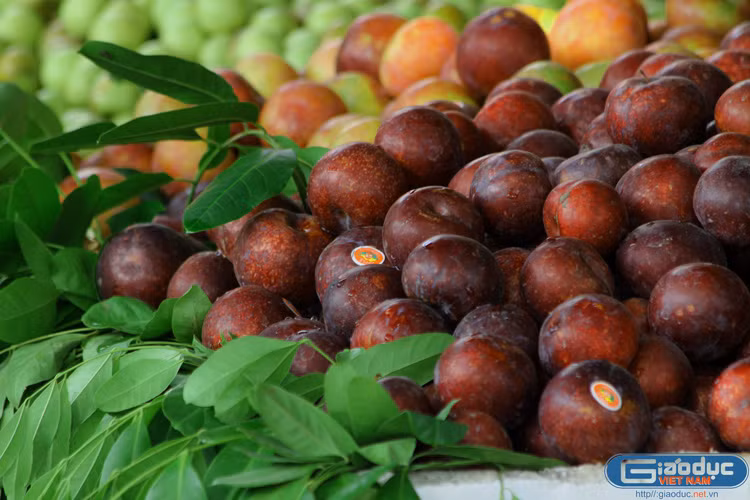 Những quả mận căng mọng xuất xứ từ Trung Quốc.