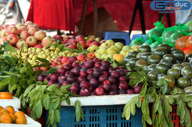 Mận, lựu, táo đỏ, cam Trung Quốc bắt mắt tại các cửa hàng hoa quả ở Hà Nội.