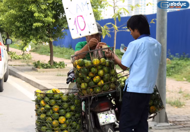 Theo anh Hải, quê ở Chương Mỹ, Hà Nội (người bán cam), những sọt cam này được lấy từ chợ đầu mối Long Biên. Người ta chở cả những chuyến xe tải từ trên Lạng Sơn về đấy đổ buôn. Cũng theo anh Hải, anh cũng biết thông tin về việc các mẫu hoa quả từ Trung Quốc nhiễm độc. "Chúng tớ không bán hoa quả Trung Quốc thì lấy đâu ra hoa quả mà bán? Nếu muốn ăn hoa quả không có độc thì chỉ có mỗi một cách là tự trồng lấy thôi", anh Hải nói.
