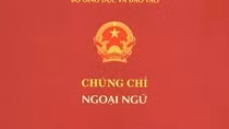 Thầy giáo kể chuyện đi thi chứng chỉ Tin học mà "vừa buồn cười vừa tức" ảnh 3