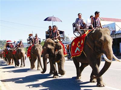 Chín giờ sáng, sau lễ gia tiên long trọng tổ chức tại nhà gái ở 27 N"Trang Lơng, thị trấn Liên Sơn, đoàn rước dâu khởi hành. Một đài voi chắc chắn được dựng sẵn trước sân, 20 con voi khỏe đẹp nhất của huyện Lăk xếp thẳng hàng, lễ phép cúi đầu chờ đợi. Quan viên hai họ lần lượt thượng đài rồi từng đôi bước sang bành voi gắn trên chiếu lụa đỏ rực lộng lẫy. Ảnh: Nguyễn Quyền (Tiền phong)