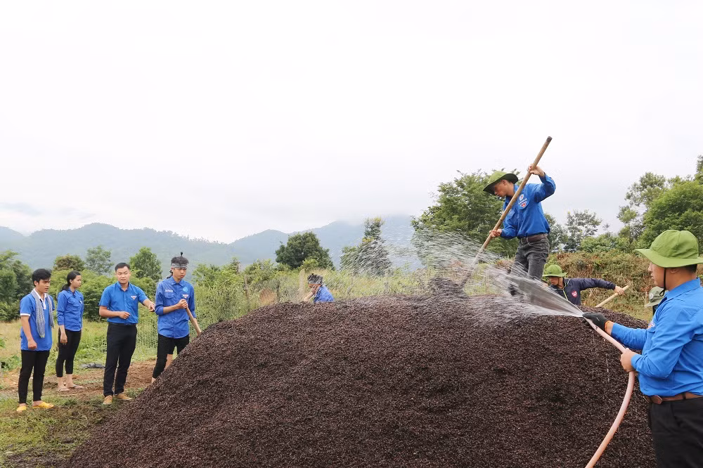 Áp dụng công nghệ vào quy trình ủ phế phẩm vỏ cà phê thành phân bón. ảnh: NVCC.