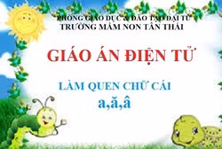 Có bắt buộc giáo viên in giáo án để cán bộ quản lý kiểm tra không?