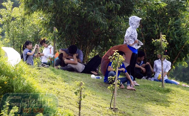 Giáo dục và câu chuyện “gãi từ vai trở xuống” ảnh 4