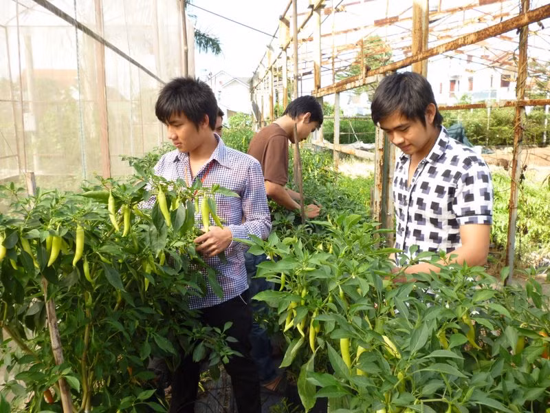 Sinh viên Ngành Bảo vệ thực vật Trường Đại học Lâm nghiệp phân hiệu tỉnh Đồng Nai thực hành môn học. (Ảnh: Nhân vật cung cấp)