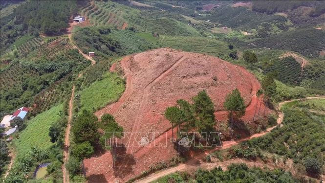 Rừng tại tiểu khu 261B, xã Nam Hà, huyện Lâm Hà, tỉnh Lâm Đồng (Ảnh: Đặng Tuấn/TTXVN)