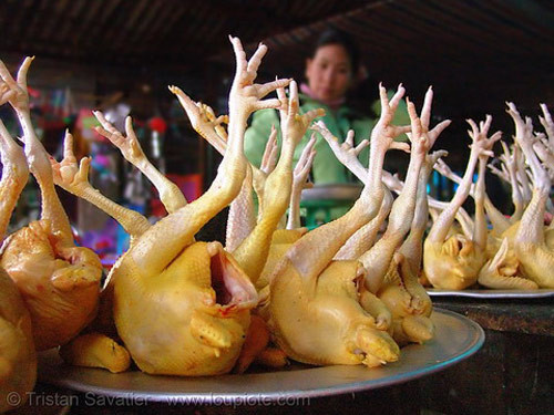 Gà "khỏa thân" với mông và chân chổng lên trời.