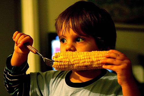 Từng có nhiều vụ kiện chống lại cây trồng biến đổi gene của Monsanto vì cho rằng chúng không an toàn đối với con người và môi trường.