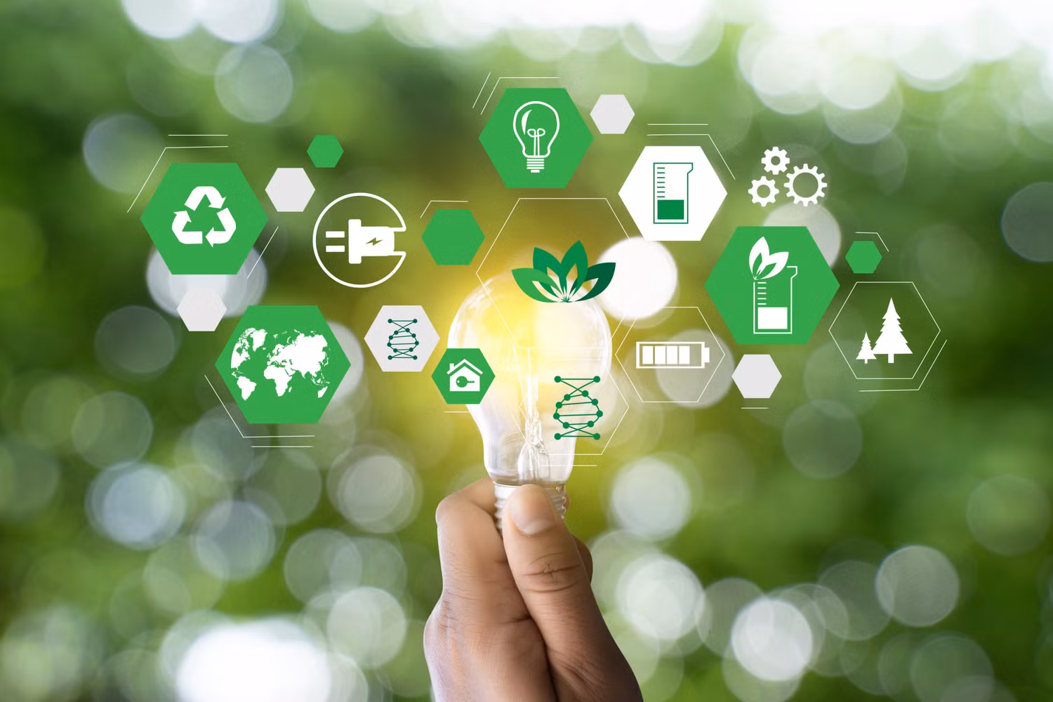 Khởi nghiệp bền vững. Nguồn ảnh: NuEnergy Khởi nghiệp bền vững. Nguồn ảnh: NuEnergy