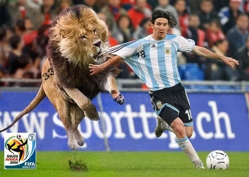 Để đuổi kịp Messi thì chỉ có thể là sư tử mà thôi.