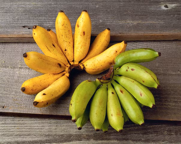 8. Chuối: Chuối chứa enzim bromelain, được chứng minh có tác dụng làm tăng ham muốn và cải thiện tình trạng “trên bảo dưới không nghe” ở đàn ông. Ngoài ra, chuối còn là nguồn dồi dào chất potassium và vitamine B như riboflavin, giúp tăng cường năng lượng cho cơ thể.