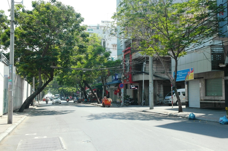 Một đoạn đường Camelt hoàn toàn vắng bóng người, xe, lặng yên như tờ.