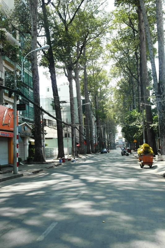 Con đường Bùi Thị Xuân (Quận 1) dài hun hút..