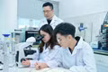 8 nhiệm vụ của giáo dục đại học, cao đẳng sư phạm trong năm học 2026 - 2027