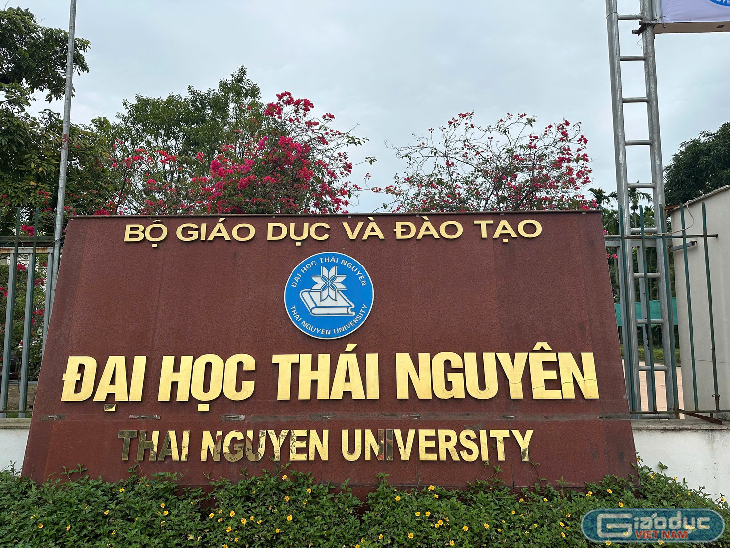 gdvn-1275607548620758042.jpg