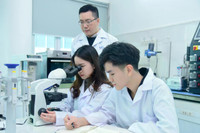 8 nhiệm vụ của giáo dục đại học, cao đẳng sư phạm trong năm học 2026 - 2027